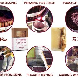 The Grapeseed Company - The neat process of making products (photo credit: From website)