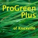 ProGreen Plus Small Engine Repair - tree service in Knoxville, TN