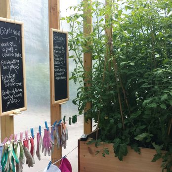 Camp Birchwood For Girls - Corner of the greenhouse. - Summer Camps Near Me - Laporte, Minnesota