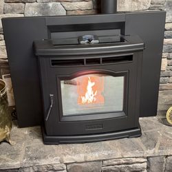 Deleur's Back To Basics - P42i wood pellet insert