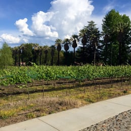 Vineyards Vineyards