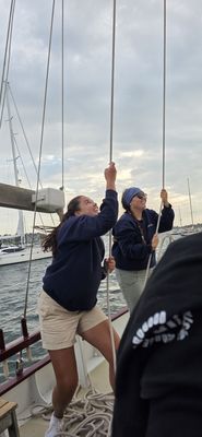 Sightsailing by null