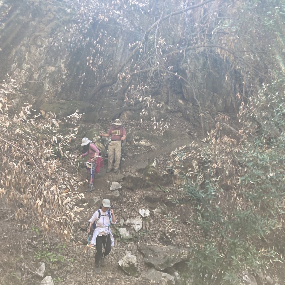 Marble Falls - Marble Falls |Sequoia NP 04.10.22 - Hiking Near Me - Three Rivers, California Marble Falls - Marble Falls |Sequoia NP 04.10.22 - Hiking Near Me - Three Rivers, California