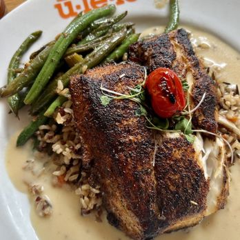 Ulele - New American Near Me - Tampa, Florida