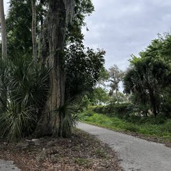 Manatee Hammock Campground