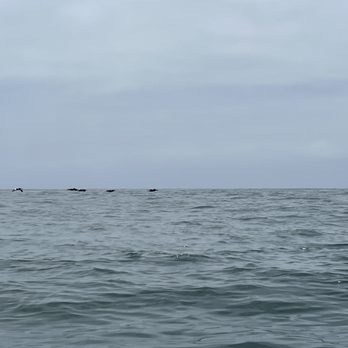 Laguna Ethos - Rafting/Kayaking Near Me - Laguna Beach, California Laguna Ethos - Rafting/Kayaking Near Me - Laguna Beach, California
