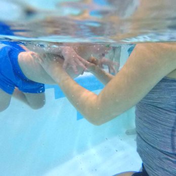 Little Dolphins Swim Academy - We take one step at a time to prepare for submersion. - Swimming Lessons/Schools Near Me - Bound Brook, New Jersey Little Dolphins Swim Academy - We take one step at a time to prepare for submersion. - Swimming Lessons/Schools Near Me - Bound Brook, New Jersey