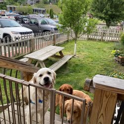 My Best Friend’s Barkery