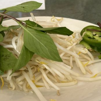 Kim Son Vietnamese Restaurant - Basil, bean sprouts for noodle soup - Vietnamese Near Me - San Francisco, California Kim Son Vietnamese Restaurant - Basil, bean sprouts for noodle soup - Vietnamese Near Me - San Francisco, California