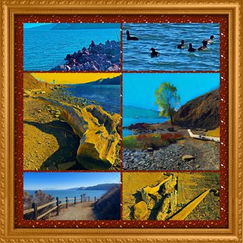 Benicia State Recreation Area - Montage of images from Benicia State Recreation Area - Parks Near Me - Benicia, California Benicia State Recreation Area - Montage of images from Benicia State Recreation Area - Parks Near Me - Benicia, California