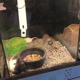 Water bottle laying on the floor of the cage completely empty! Water bottle laying on the floor of the cage completely empty!