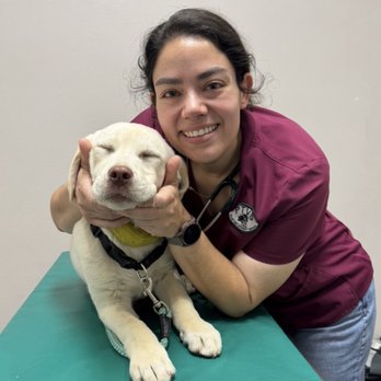 Pecan Tree Veterinary Services - Hudson and Dr. Jessy - Veterinarians Near Me - Anderson, Texas Pecan Tree Veterinary Services - Hudson and Dr. Jessy - Veterinarians Near Me - Anderson, Texas