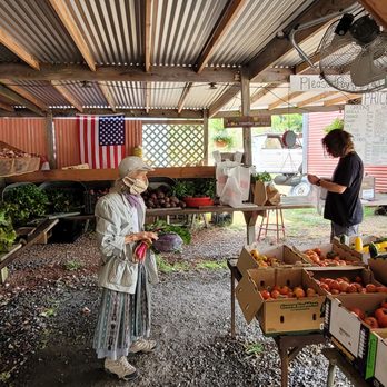 Worker Bee Farm - Farms Near Me - Freestone, California