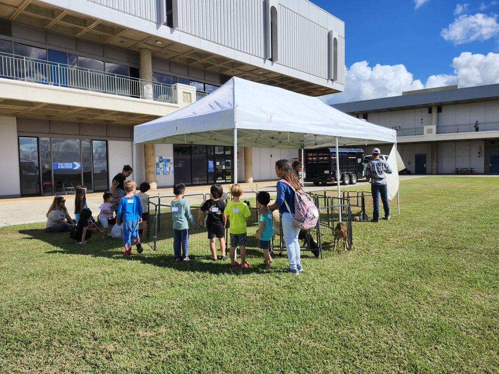 Nalo Keiki Paniolo - wedding in Waimanalo, HI