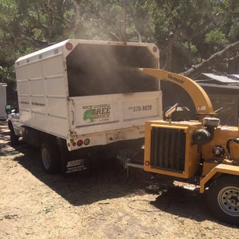 Nick's Tree Service - Brush Clearing and Chipping. Santa Barbara - Tree Services Near Me