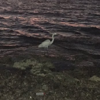 Alberto's - Seafood Near Me - Cozumel, ROO