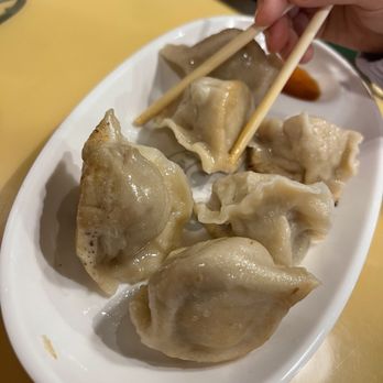 Dumplings & Tea - Pan fried dumplings - Chinese Near Me - Chesterfield, Missouri Dumplings & Tea - Pan fried dumplings - Chinese Near Me - Chesterfield, Missouri