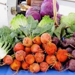 Fort Bragg Certified Farmers Market