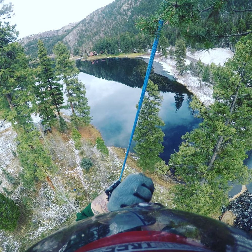 Mountain Tree Company - tree service in Missoula, MT