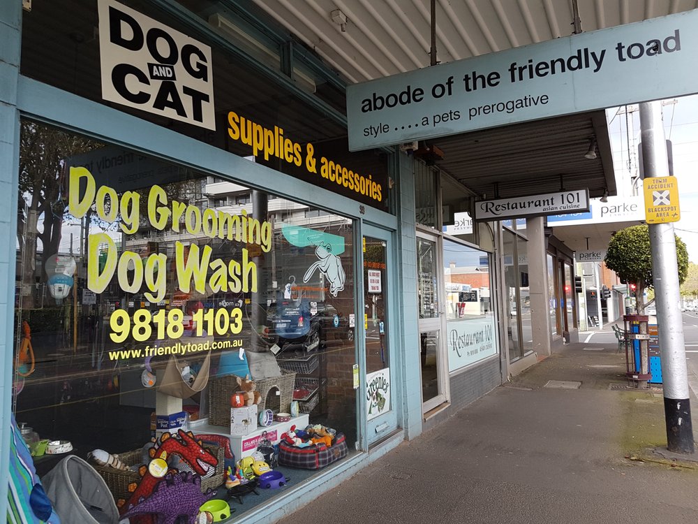 ABODE OF THE FRIENDLY TOAD 99 Burwood Rd, Hawthorn Victoria