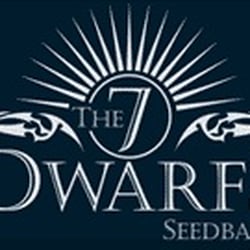 Photo of Cannabis Seeds - London, XGL, GB.