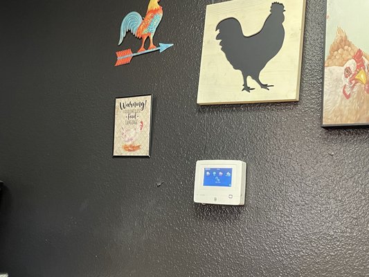 Natural Style Chicken by null