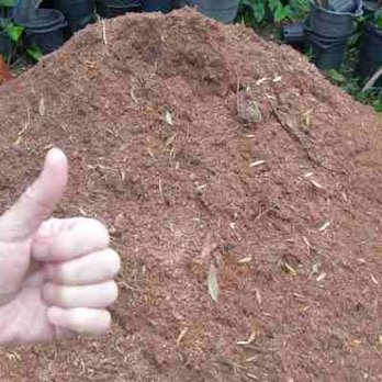 Jesse Scotts Tree Service - Albert personally dropped off the freshly made mulch in our gardening area. It's pesticide free because we KNOW where it came from! - Landscaping Near Me - Orlando, Florida Jesse Scotts Tree Service - Albert personally dropped off the freshly made mulch in our gardening area. It's pesticide free because we KNOW where it came from! - Landscaping Near Me - Orlando, Florida