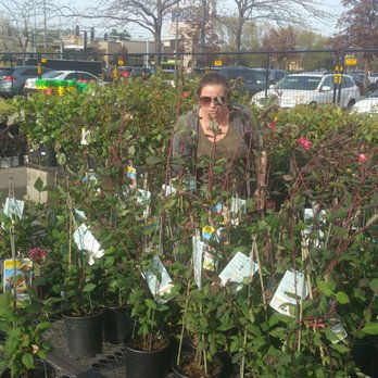Lowe's Home Improvement - Garden shopping! - Hardware Stores Near Me - Spokane Valley, Washington