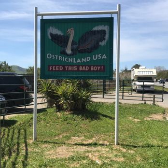 Ostrichland USA - Attraction Farms Near Me - Solvang, California Ostrichland USA - Attraction Farms Near Me - Solvang, California