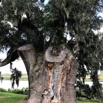 Middleton Place - Quite majestic - Museums Near Me - Charleston, South Carolina Middleton Place - Quite majestic - Museums Near Me - Charleston, South Carolina