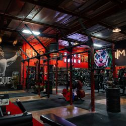 Madhouse Gains Asylum
