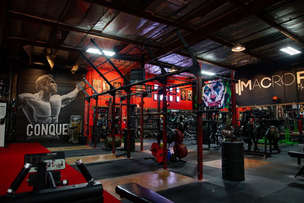 Madhouse Gains Asylum