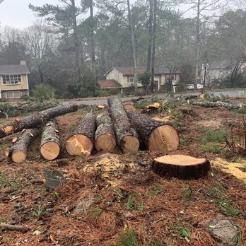 Lifes Tree Doctor - Front yard progress - Tree Services Near Me - Smyrna, Georgia Lifes Tree Doctor - Front yard progress - Tree Services Near Me - Smyrna, Georgia