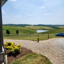 Yellow Butterfly Winery - The view