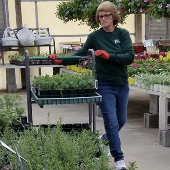 Straders Garden Center Nurseries Gardening 2625 London