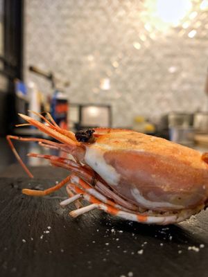 Nakama Japanese Cuisines & Omakase by null