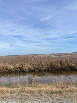 Alligator River National Wildlife Refuge by null
