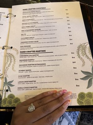 Menu photo 2 Maharani Palace Herndon, VA Menu photo 2 Maharani Palace Herndon, VA
