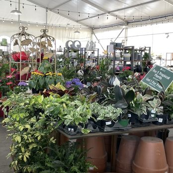 Dajue Art Garden Centre - Nurseries & Gardening Near Me - Richmond, British Columbia Dajue Art Garden Centre - Nurseries & Gardening Near Me - Richmond, British Columbia