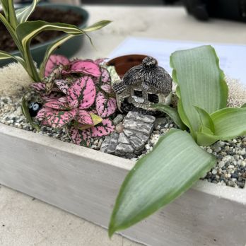 Sunnyside Nursery - My fairy garden made at Sunnyside Nursery class - Nurseries & Gardening Near Me - Marysville, Washington Sunnyside Nursery - My fairy garden made at Sunnyside Nursery class - Nurseries & Gardening Near Me - Marysville, Washington