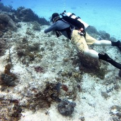 Dive World Scuba - All possible with the training by the good team at Dive World, San Antonio, Texas, USA!