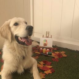 Thanksgiving enrichment craft