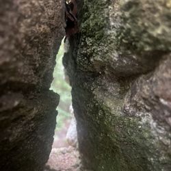 Poinsett Bridge