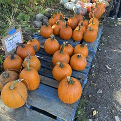 Collegeville Orchards