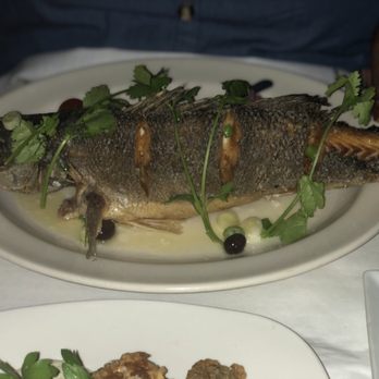Coastal Grill - Bronzino was splendid. - Seafood Near Me - Virginia Beach, Virginia Coastal Grill - Bronzino was splendid. - Seafood Near Me - Virginia Beach, Virginia