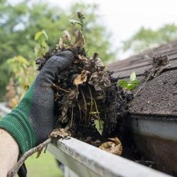 Northwest Window Washing - Gutter Cleaning Services