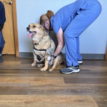 Ripley Animal Clinic - Veterinarians Near Me - Columbus, Ohio Ripley Animal Clinic - Veterinarians Near Me - Columbus, Ohio