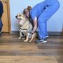 Photo of Ripley Animal Clinic
