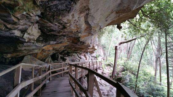 Audra State Park by null