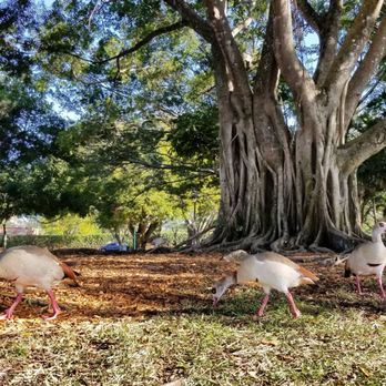 Ben Fiorendino Park - Parks Near Me - Hollywood, Florida